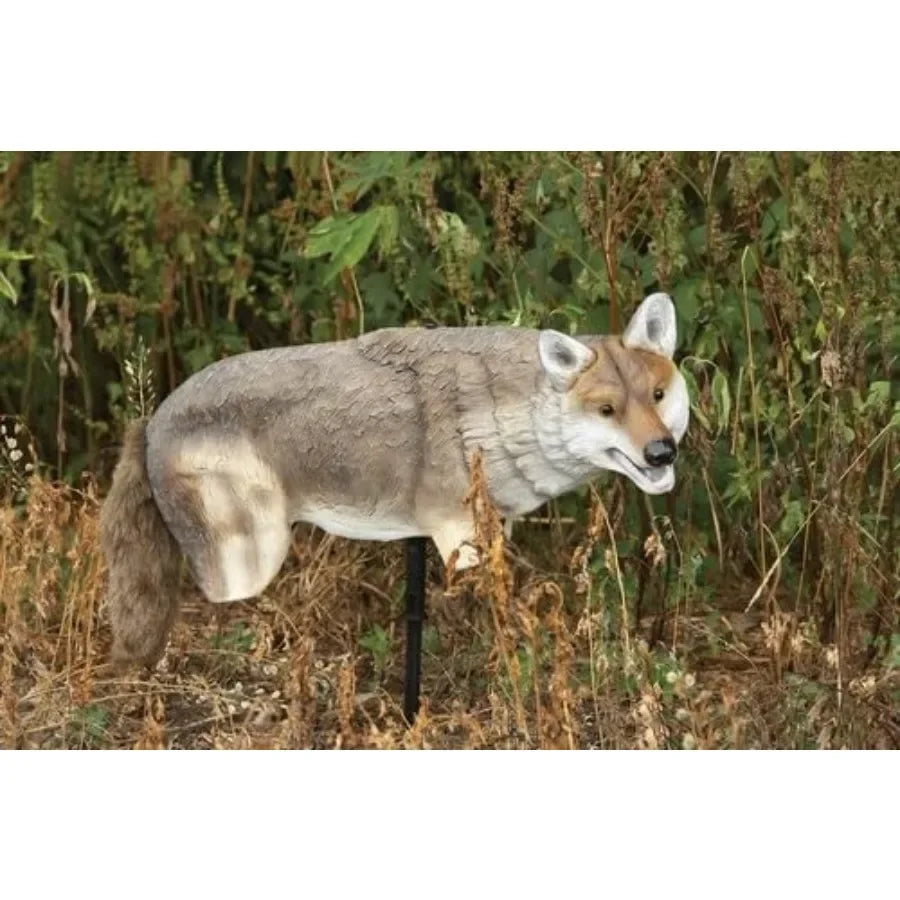 Lucky Duck Yote Coyote Decoy