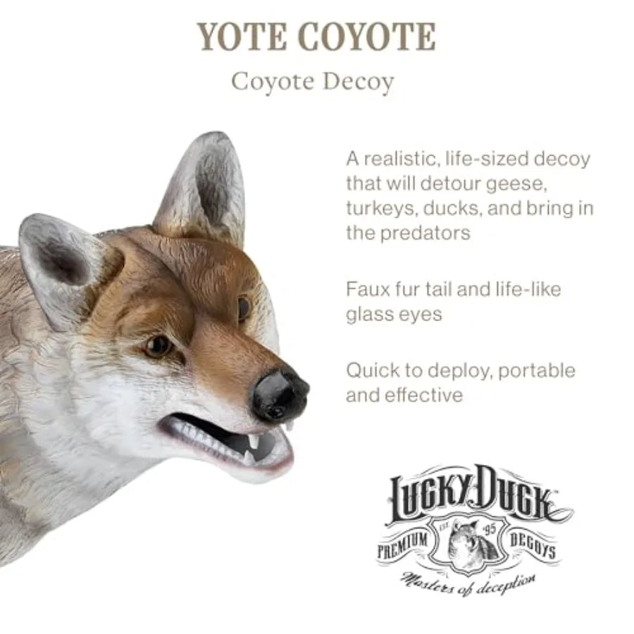 Lucky Duck Yote Coyote Decoy